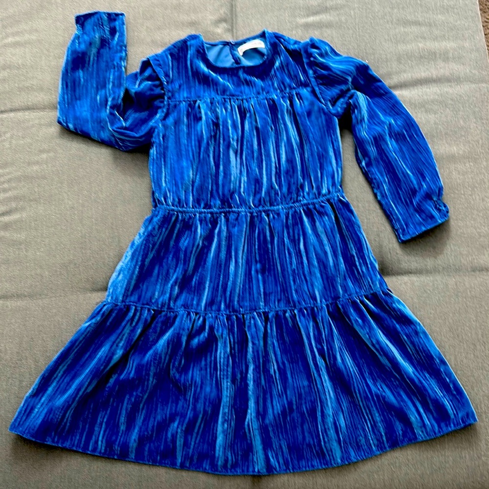 Zara Long sleeve Crushed Blue Velvet Dress